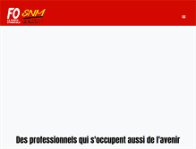 Tablet Screenshot of musiciens-fo.com